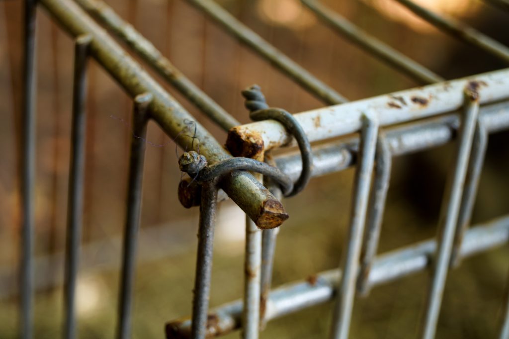 Civil vs Structural Engineering: Key Differences
